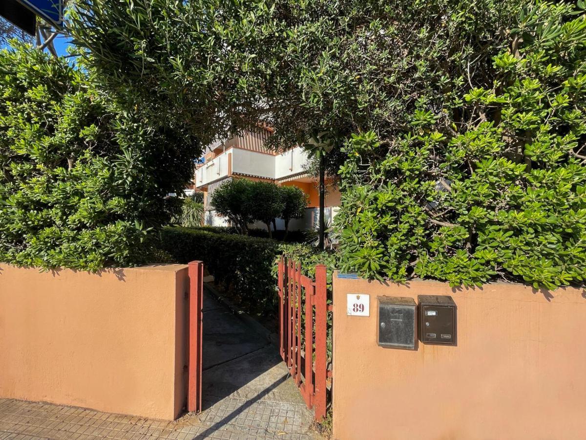 Las Floridas Apartment 알게로 외부 사진